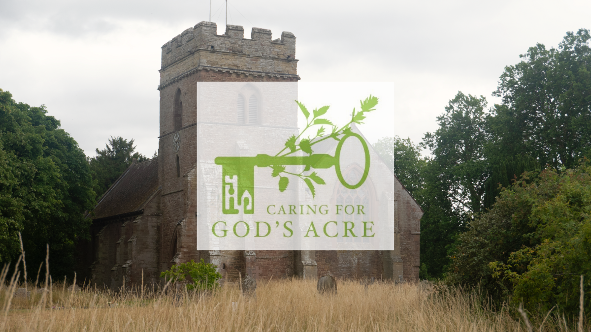 Graveyard with long grass