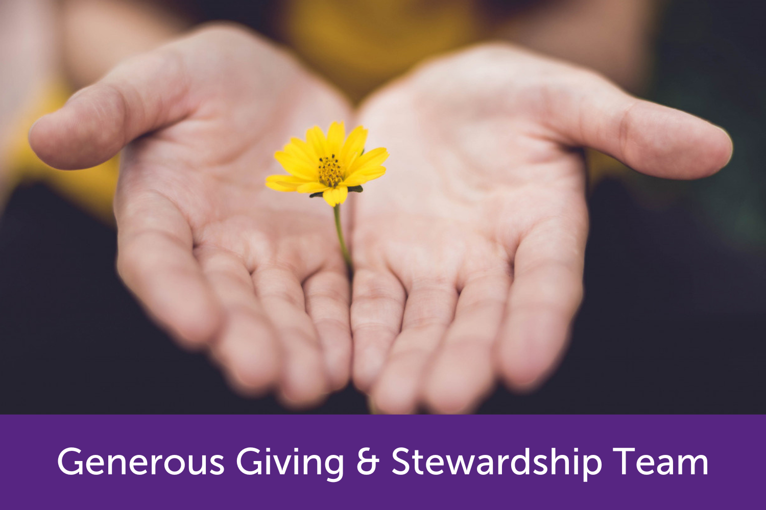 Hands open with a yellow flower