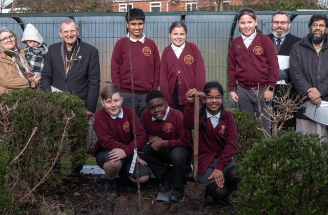 Ludlow Primary School_HMD_Cherry Tree_thumnail