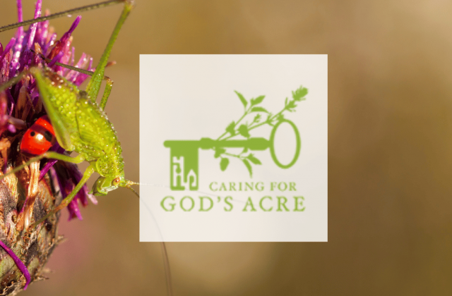 Caring for God's Acre_July