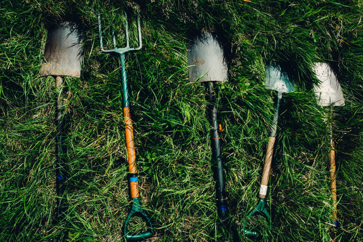Image of garden tools laid out on grass